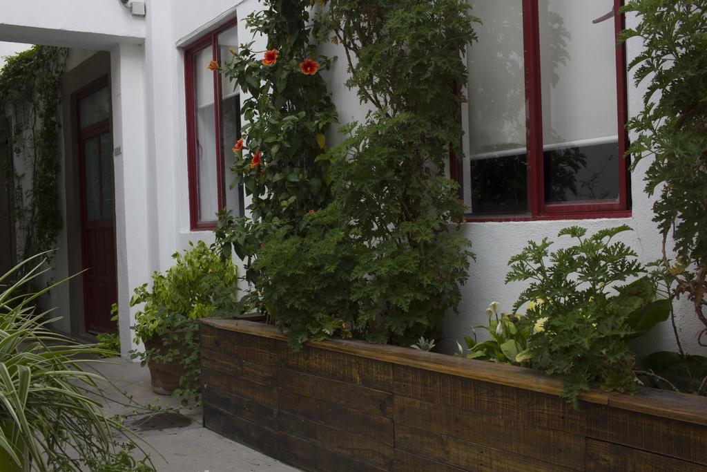 Kuku Ruku Hotel Queretaro Exterior photo